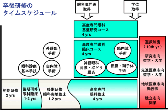 卒後のタイムスケジュール