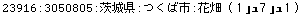 [Graphics:Images/CacheJava_gr_198.gif]