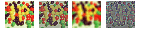[Graphics:Images/JPEGuide_gr_127.gif]
