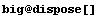 big @ dispose[]