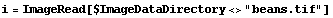i = ImageRead[$ImageDataDirectory <> "beans.tif"]