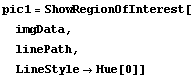 pic1 = ShowRegionOfInterest[ imgData,  linePath,  LineStyle -> Hue[0]]