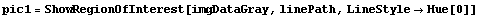 pic1 = ShowRegionOfInterest[imgDataGray, linePath, LineStyle -> Hue[0]]