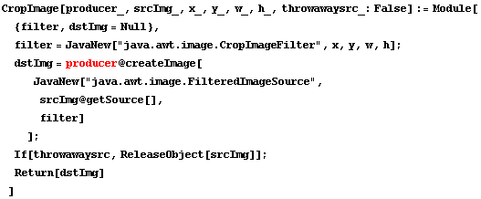 CropImage[producer_, srcImg_, x_, y_, w_, h_, throwawaysrc_: False] := Module[ {filter, dstImg ... ,  srcImg @ getSource[],  filter] ] ;  If[throwawaysrc, ReleaseObject[srcImg]] ;  Return[dstImg] ]