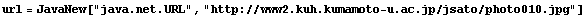 url = JavaNew["java.net.URL", "https://www2.kuh.kumamoto-u.ac.jp/jsato/photo010.jpg"]