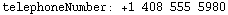 [Graphics:Images/ldapdoc02_gr_80.gif]
